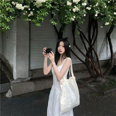 权少的贴身翻译官